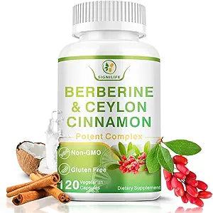 Berberine with Ceylon Cinnamon, 1200mg Berberine HCL & MCT Oil for Enhanced Absorption – Supports Immune System & Gut Health, Gluten-Free & airy-Free
